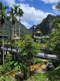 Bridge Hill Cafe - Khao Sok, Surat Thani