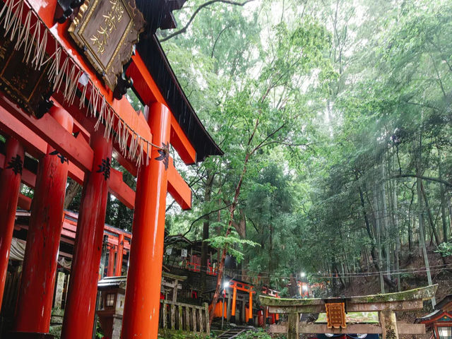 【伏見稲荷大社】千本鳥居の幻想世界へ⛩️願いを込めて歩く、朱のトンネル