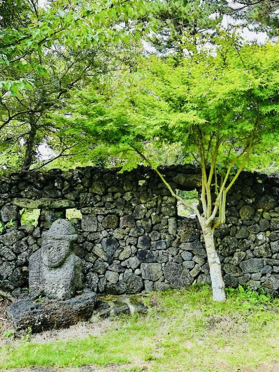 A Serene Outdoor Gallery Amidst Lush Nature