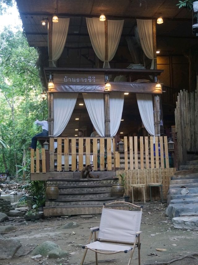 📍บ้านธารชีวี (Baan Tarnchevee) @เชียงดาว