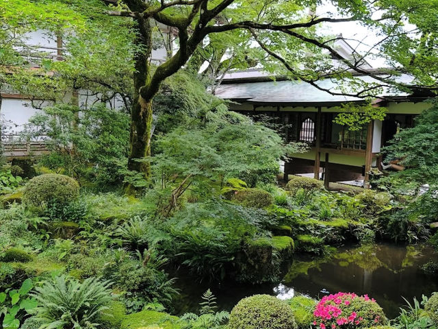 【大原三千院】山里に佇む癒しの寺🍃静寂と緑に包まれる“心の旅”