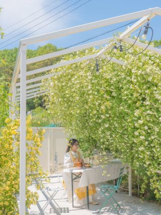 由幸福的老闆娘打造的玫瑰花園咖啡廳