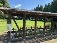 熊本水前寺成趣園-肥後六花