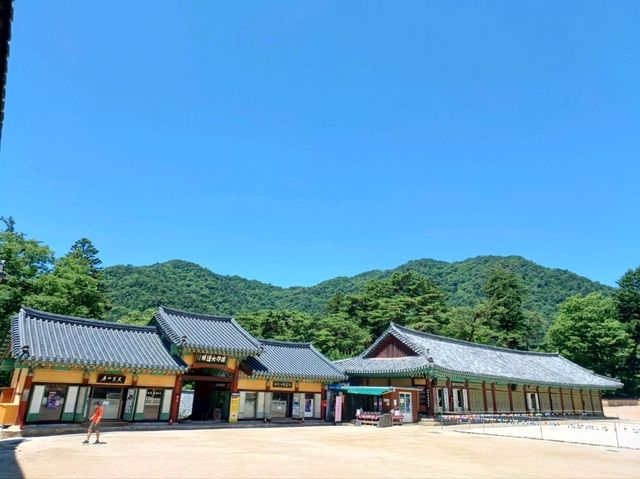 자연과 고찰이 어우러진 풍경 명소, 합천 해인사