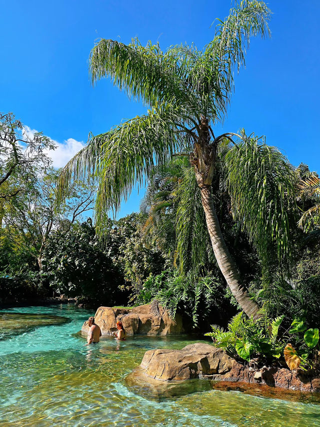 Tropical River at Discovery Cove Orlando | Lazy River Meets Luxury Spa