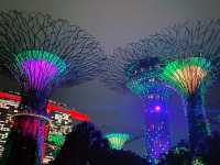 Enchanting Nights at Supertree Grove: A Dazzling Dance of Light and Nature