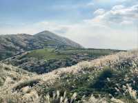 Experience the Tranquil Beauty of Qingtiangang Grassland