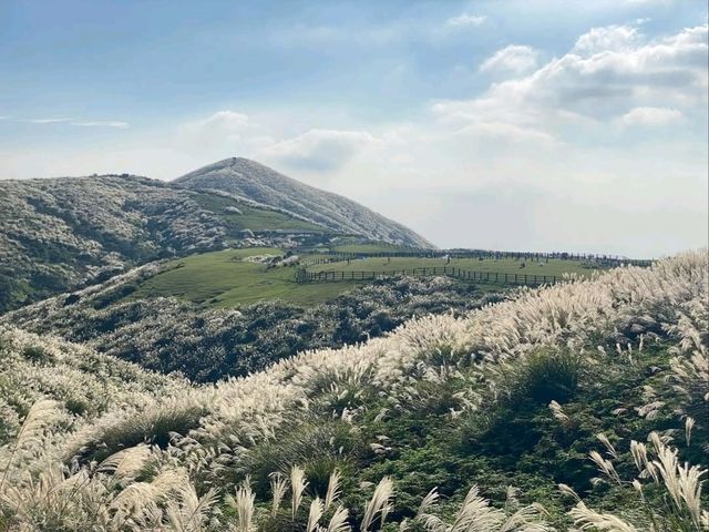 Experience the Tranquil Beauty of Qingtiangang Grassland