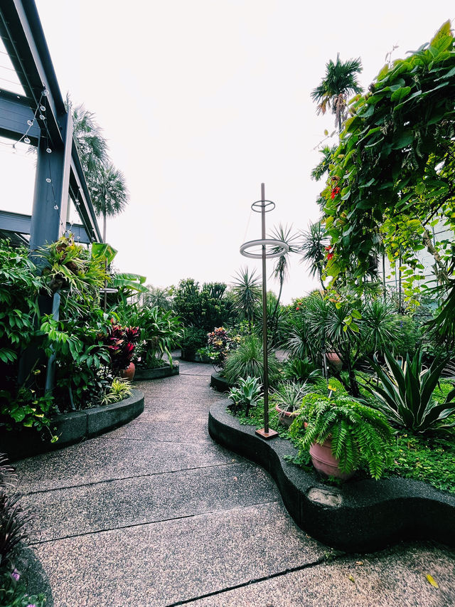 雨上がりの秘密の楽園：1 Utamaの屋上で見つけた癒しのひととき🌿