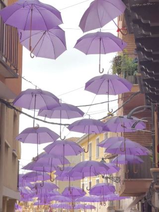 💜 Lavender Dreams Near Madrid: Brihuega’s Purple Paradise 💐