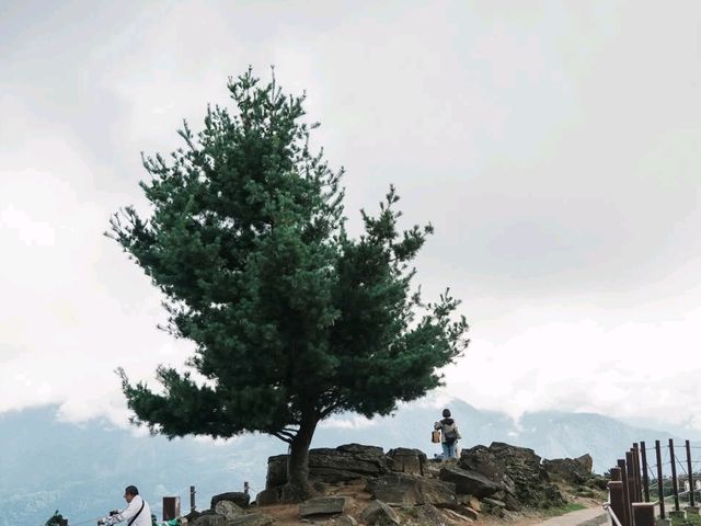 Cloudy Meadows and Friendly Sheep at Qingjing Farm