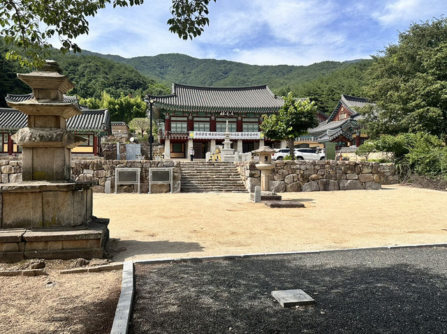 大邱🇰🇷｜大邱秘境古剎！符仁寺千年歷史與神秘四頭烏龜你看過嗎？🐢✨