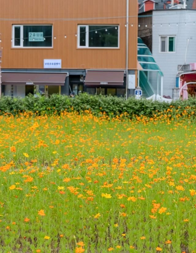 현시각, 수원에서 가장 예쁜 하남지터🧡