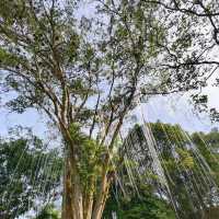 Cyberjaya Lake Gardens