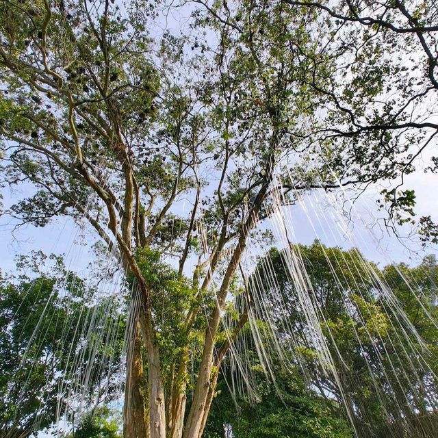 Cyberjaya Lake Gardens