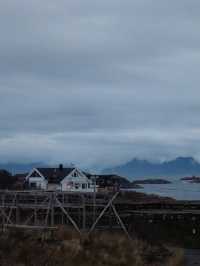 Finding Tranquility at Mølnarodden 