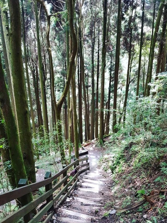 ⛰️台北市の最高峰✨七星山（1120m）