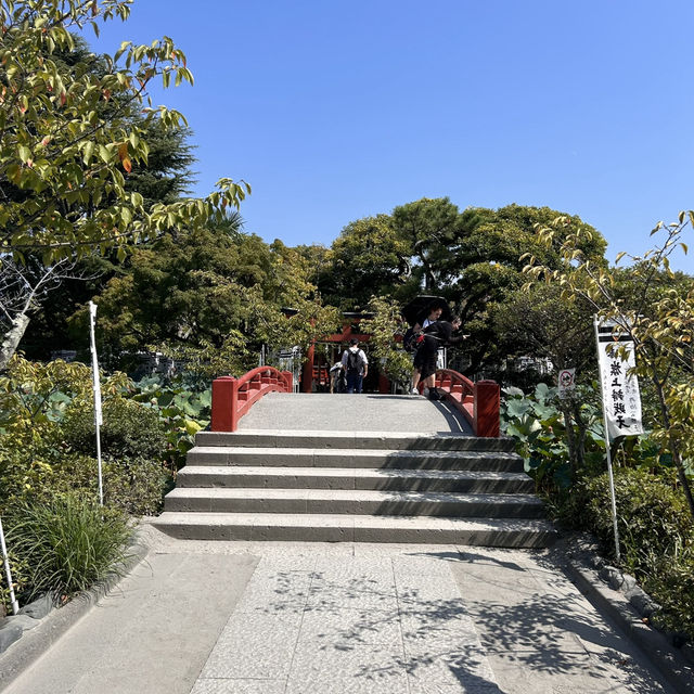 The Setting: Genpei Pond (源平池 - Genpei Ike)