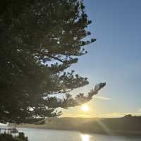 お一人向けグレートオーシャンロード（Great Ocean Road）の日帰りツアー比較
