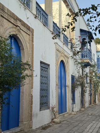 🏝 The harmony of the blue Mediterranean and the white village, Sidi Bou Said 🌿