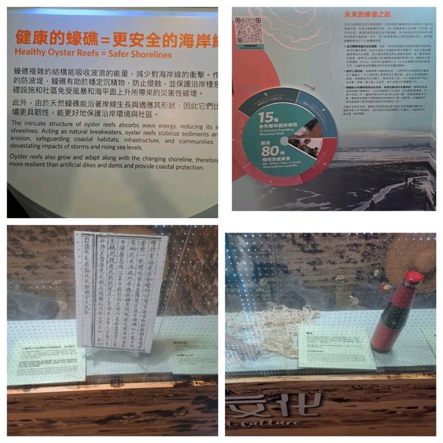 滄海遺珠展覽參觀的個人感受