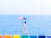 Seoul and Jeju Island Moments