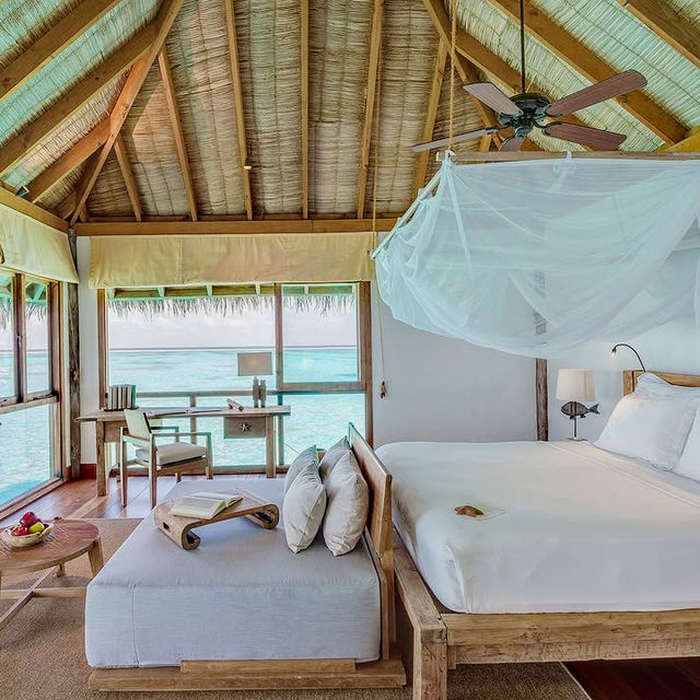 Castaway in Style