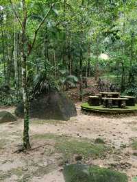 ป่าในเมือง – ระนอง