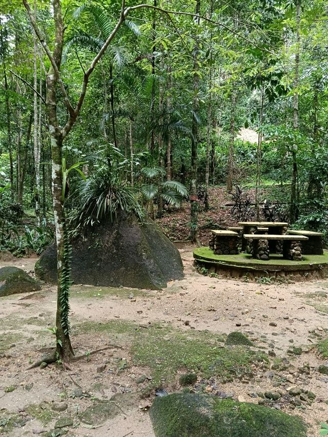 ป่าในเมือง – ระนอง