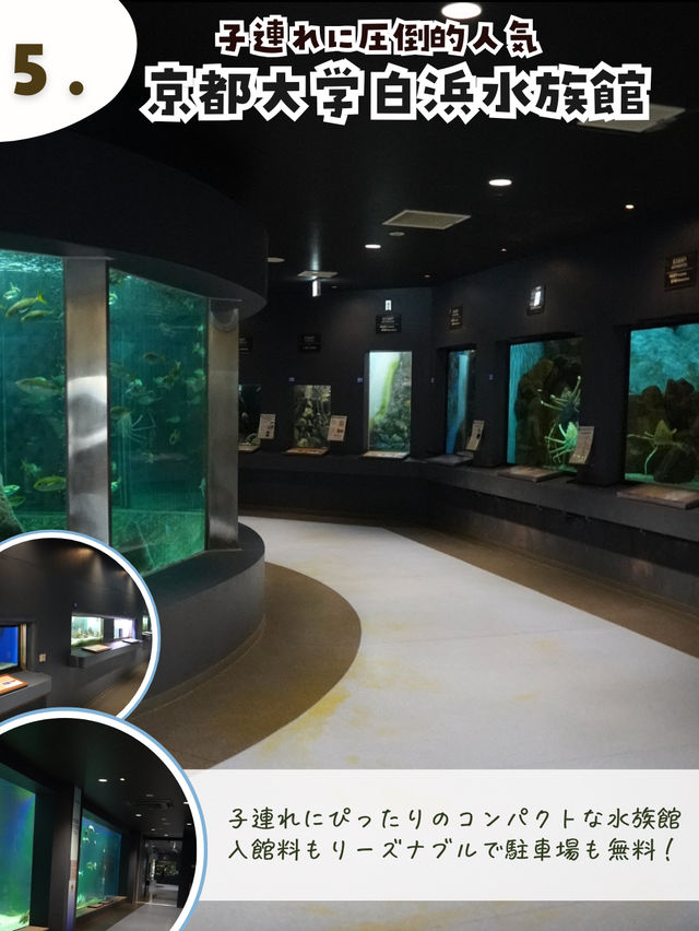 子連れ白浜旅行おすすめスポット
