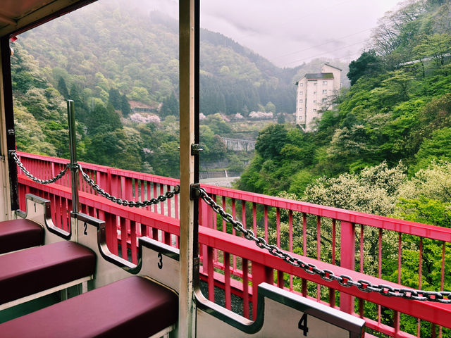 黑部市樹影雲霧絕美瞬間