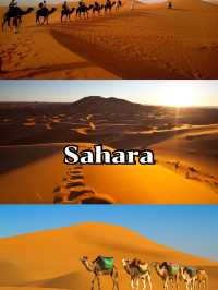 Sahara