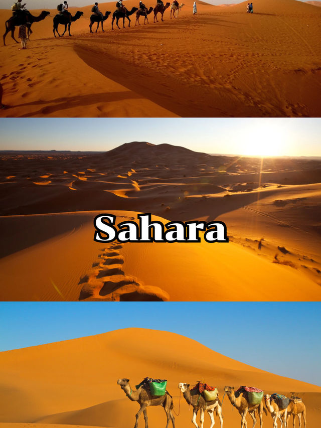 Sahara