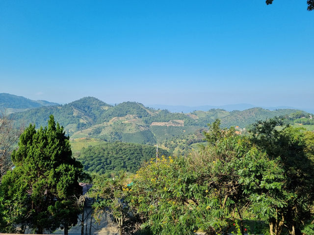 🌄 Mystical Mornings in Mae Salong