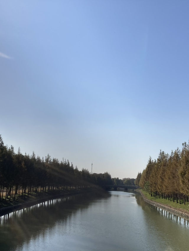 走訪上海的一些日子