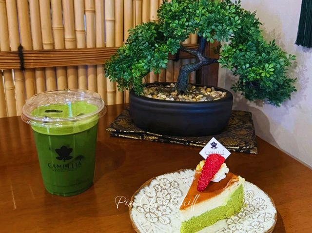Camellia Matcha Space Camellia Matcha Space