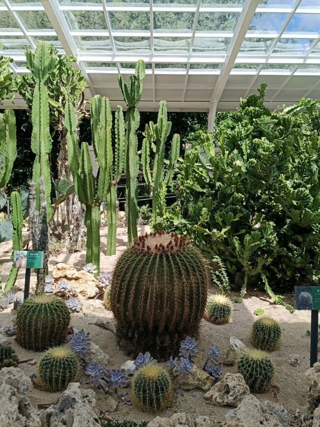 墾丁國家森林遊樂園