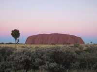 鳥魯魯(Uluru)的日與夜:澳洲之心的三種玩法