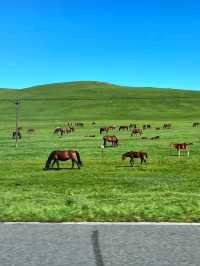 Nomadic Dreams on the Hulunbuir Prairie