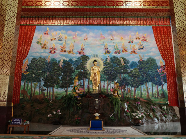 เที่ยวดอยสะเก็ตกัน