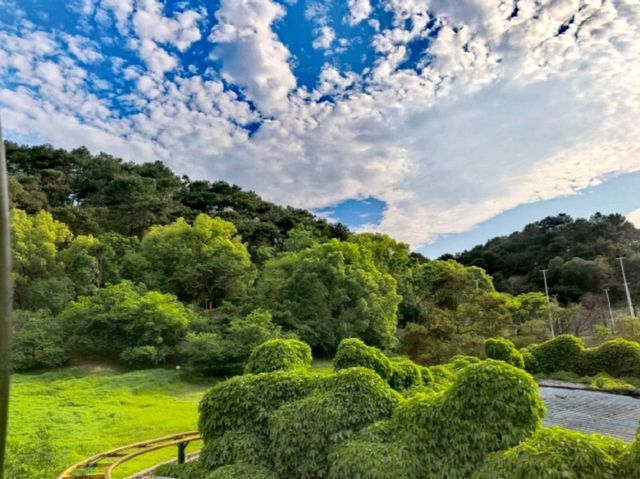 石門公園雕塑打卡靚位推薦📸