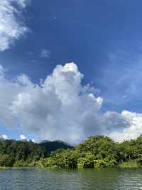 ฮาลา สุดเขตแดนใต้🌳