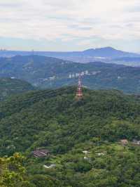🌿2025 微笑山線大縱走・尋寶集章任務 🌿