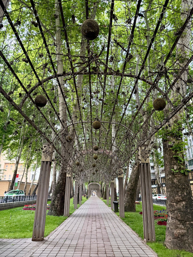 🌿 Park Hopping for Peace in Dushanbe