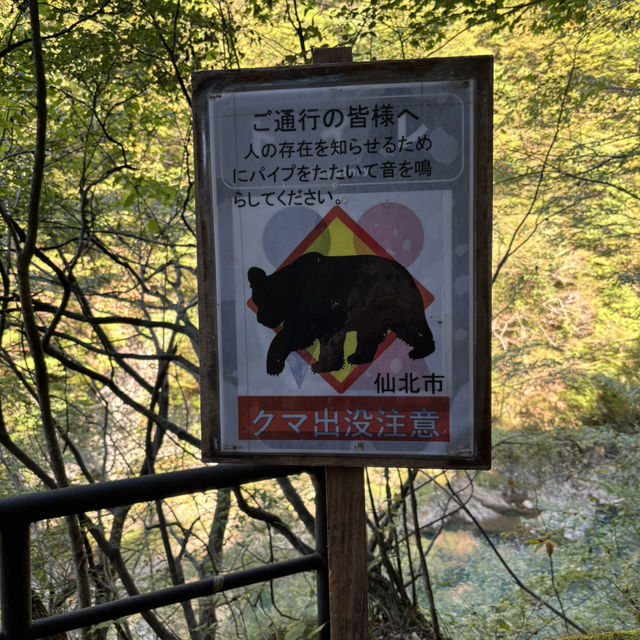 水が綺麗過ぎて癒されました❤️ 水が綺麗過ぎて癒されました❤️