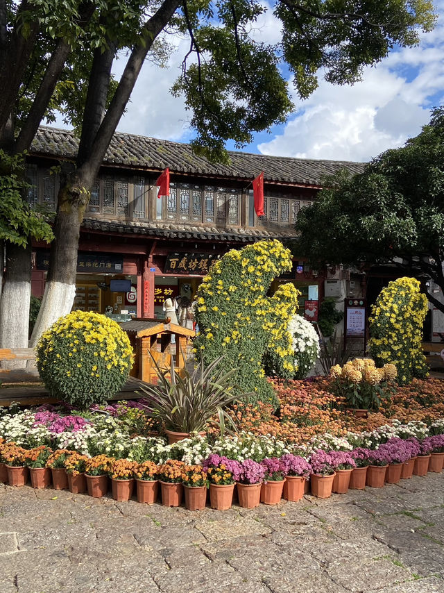 Walking through Lijiang Ancient Town is a total vibe! 🌈