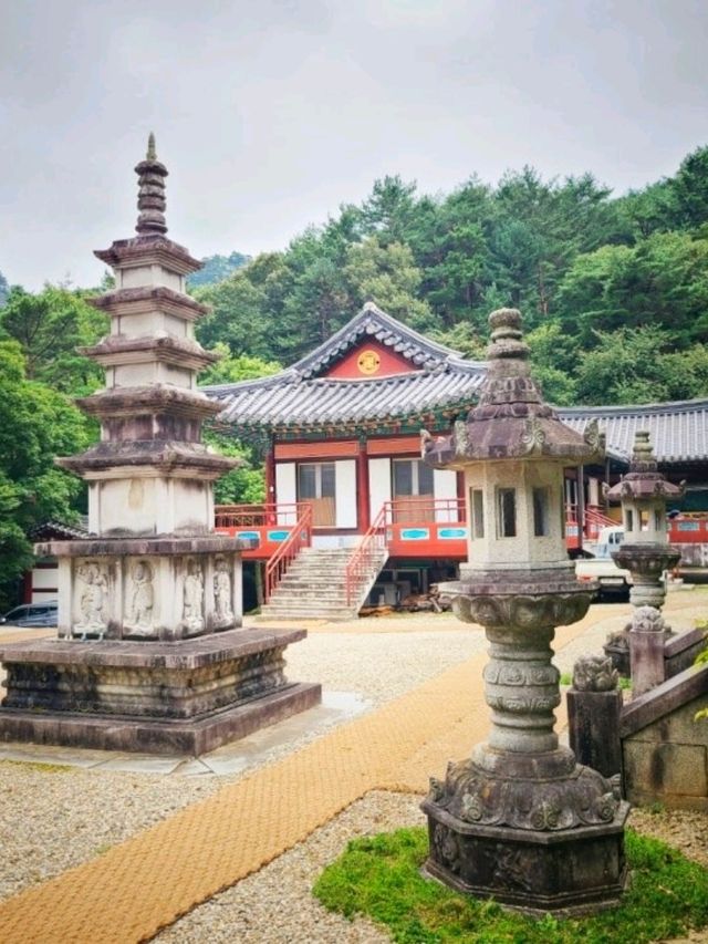 삼척 단풍으로 물든 🤎천은사 가을여행