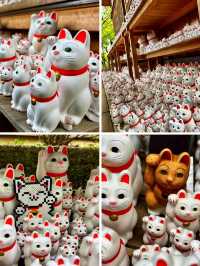 The Lucky Cat Temple – Discover Gōtokuji, Tokyo