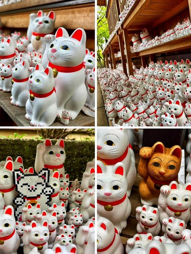 The Lucky Cat Temple – Discover Gōtokuji, Tokyo
