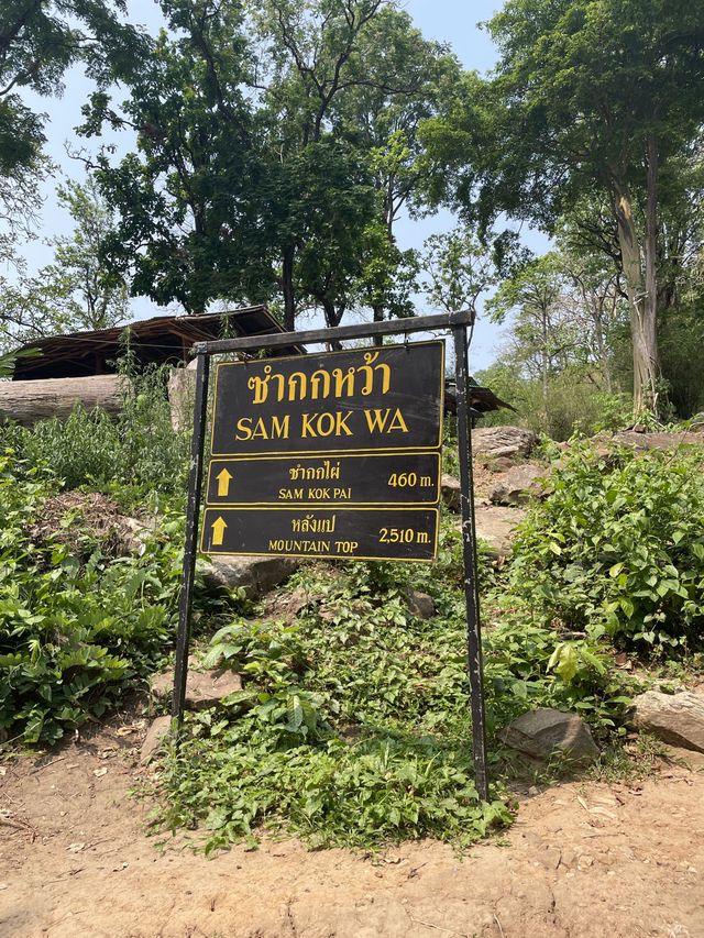 ครั้งหนึ่งเคยเป็นผู้พิชิตภูกระดึง ⛰️⛺️